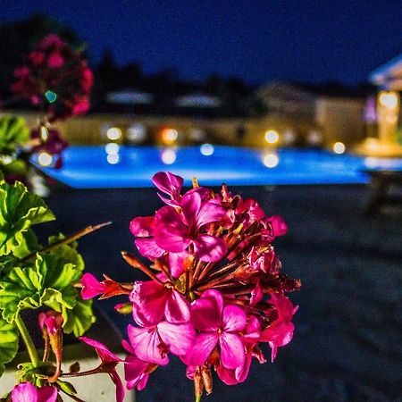 Astrakeroula Corfu Apartment Astrakeri Ngoại thất bức ảnh