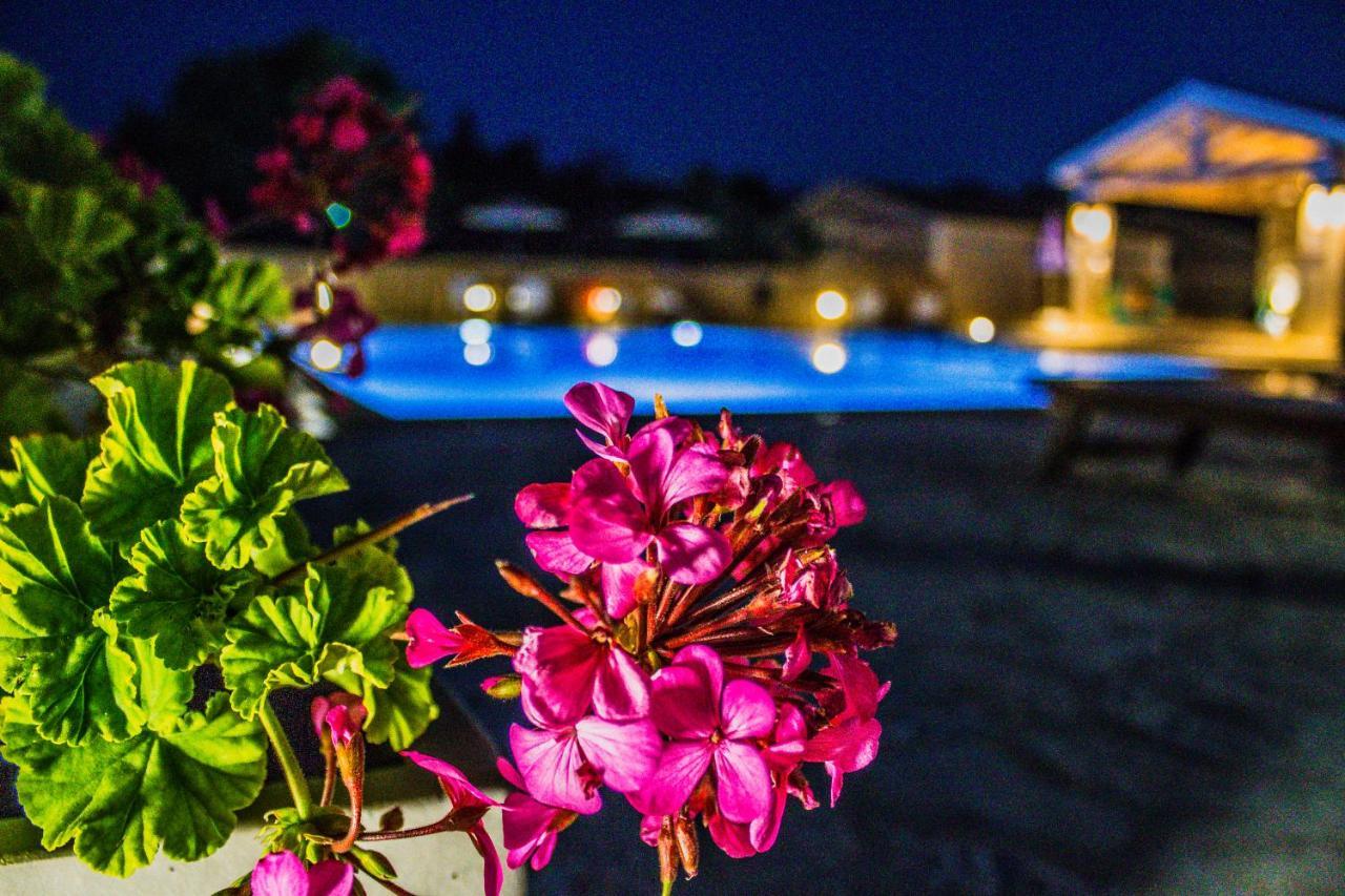 Astrakeroula Corfu Apartment Astrakeri Ngoại thất bức ảnh