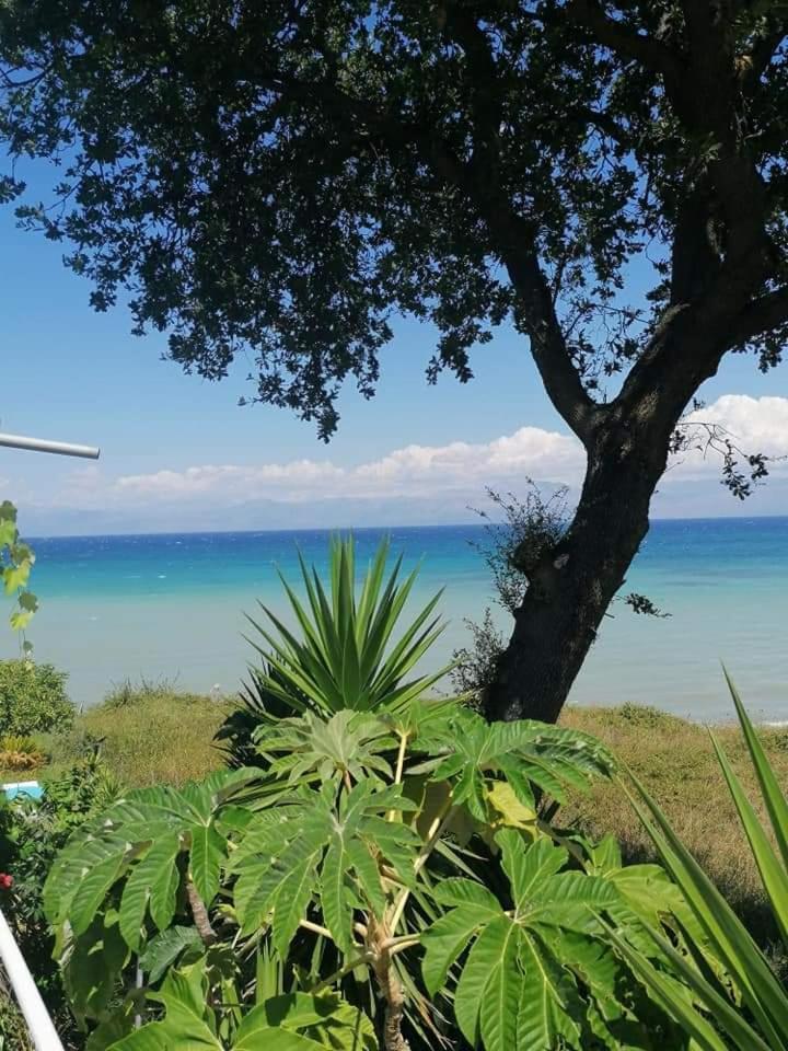 Astrakeroula Corfu Apartment Astrakeri Ngoại thất bức ảnh